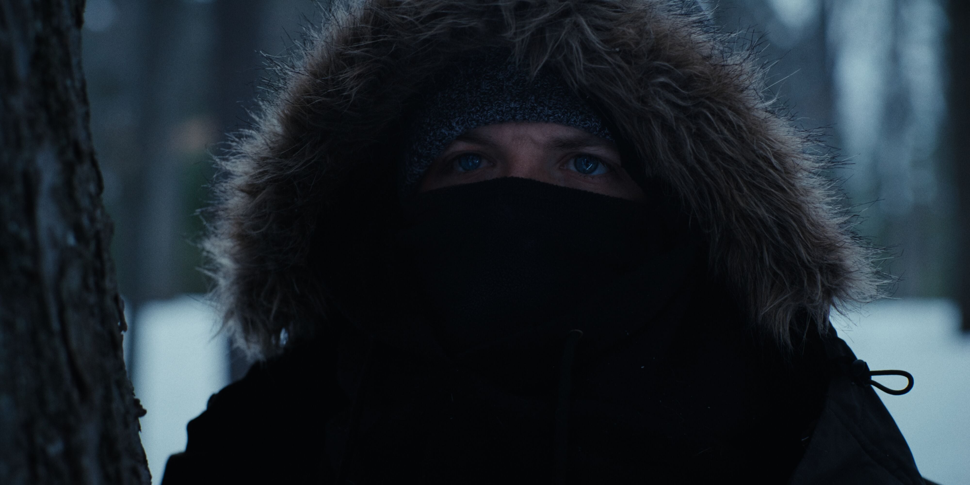 Stills 1.130.1