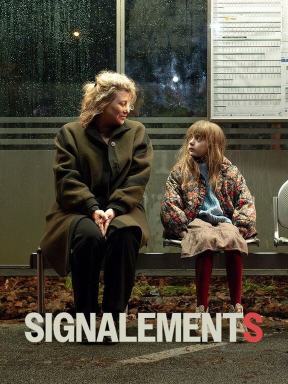 signalements 2024