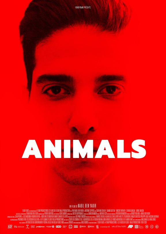animals 2021