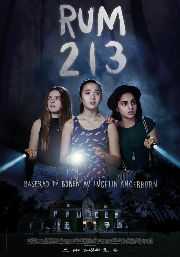 rum213 2017