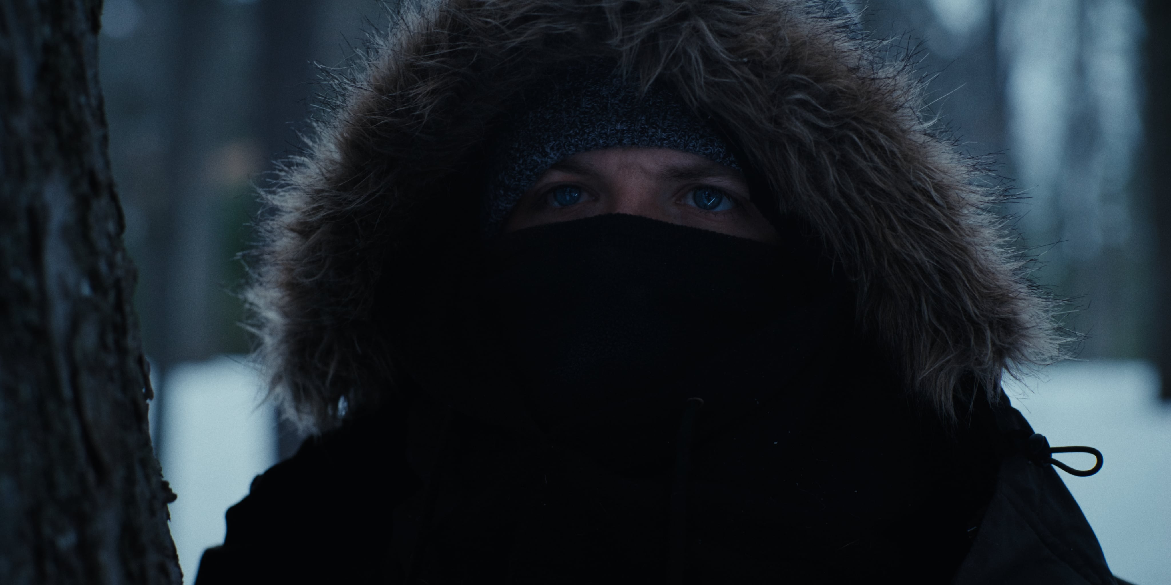 Stills 1.130.1