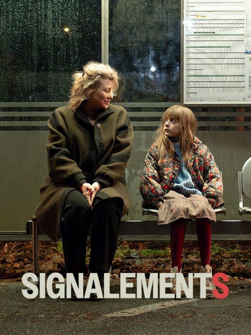 signalements 2024